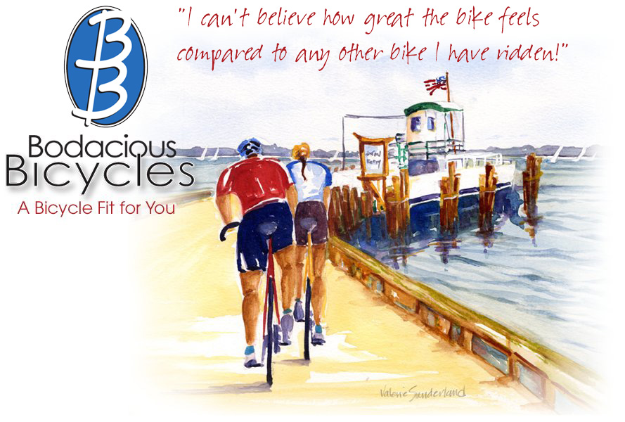 Bodacious Bicycles Home Page
